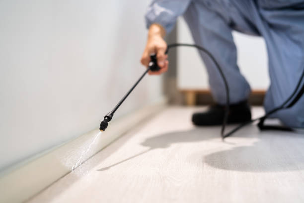 Licensed Termite Control service in Tillman County County, OK - Nex Pest Control