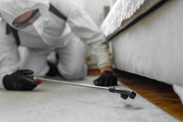 Professional Termite Control technician working in Tillman County County, OK